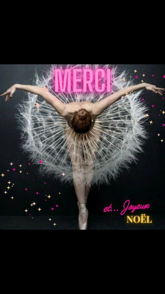 Jour J: un très joyeux Noël à tous.
Un grand Merci💕 aussi.
Happy Christmas🎄🤍 

#noel #jourj #christmas #dday #merci #thanks #seeyousoon #enjoychristmastime #bellesfetes #joyeuxnoel